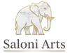 saloniartsindia.com